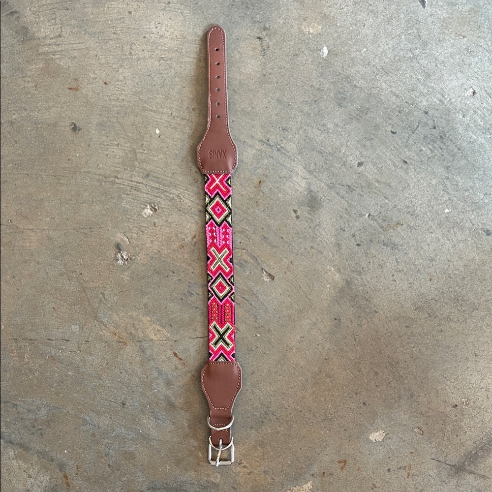Embroidered Dog Collar with Silver Buckle